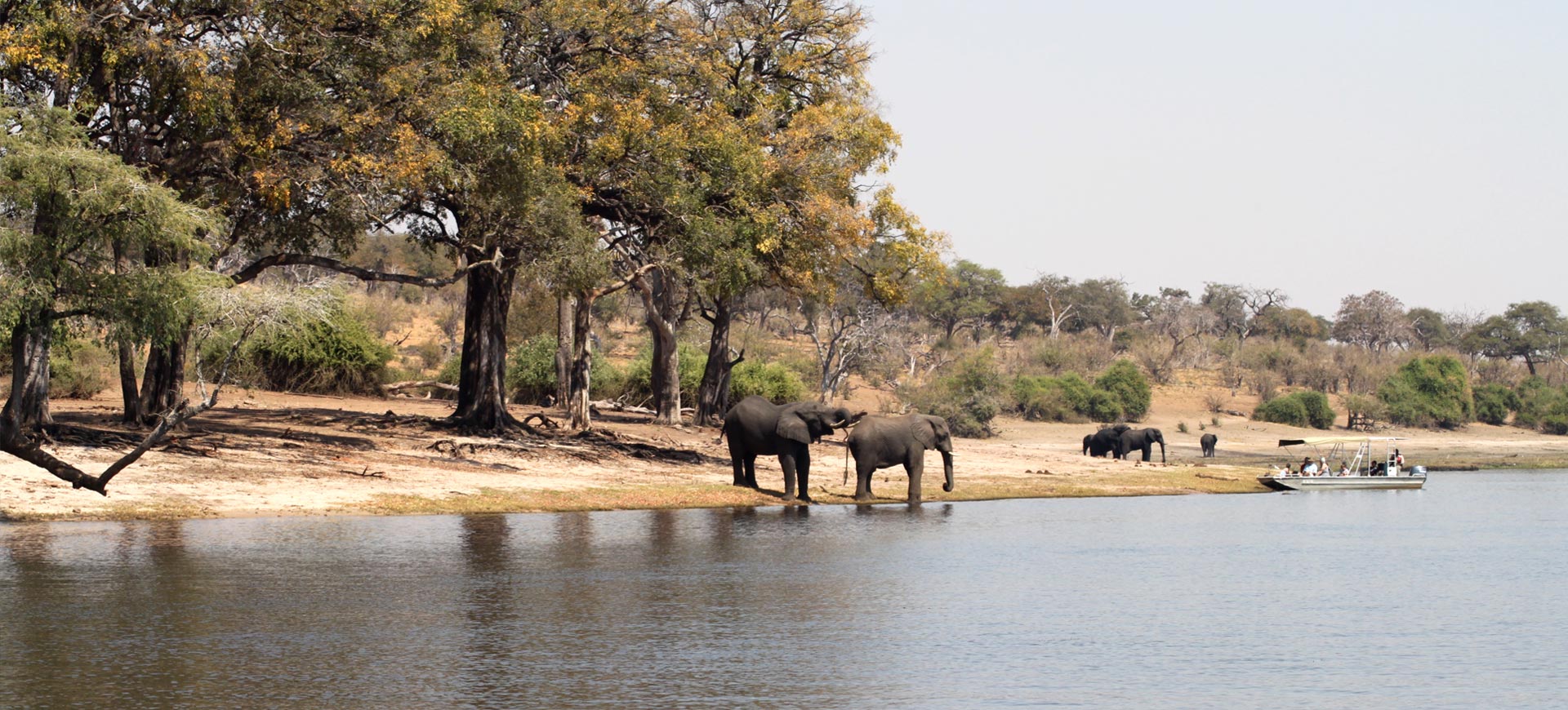 Chobe-Day-Trip-From-Victoria-Falls